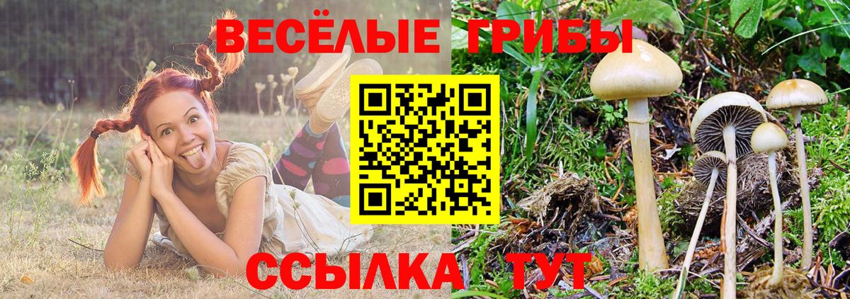 Галлюциногенные грибы Magic Shrooms  Вход с VPN  Сарапул  Галлюциногенные грибы мухоморы 