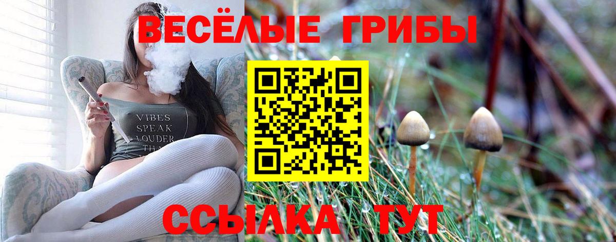Галлюциногенные грибы ЛСД Сарапул